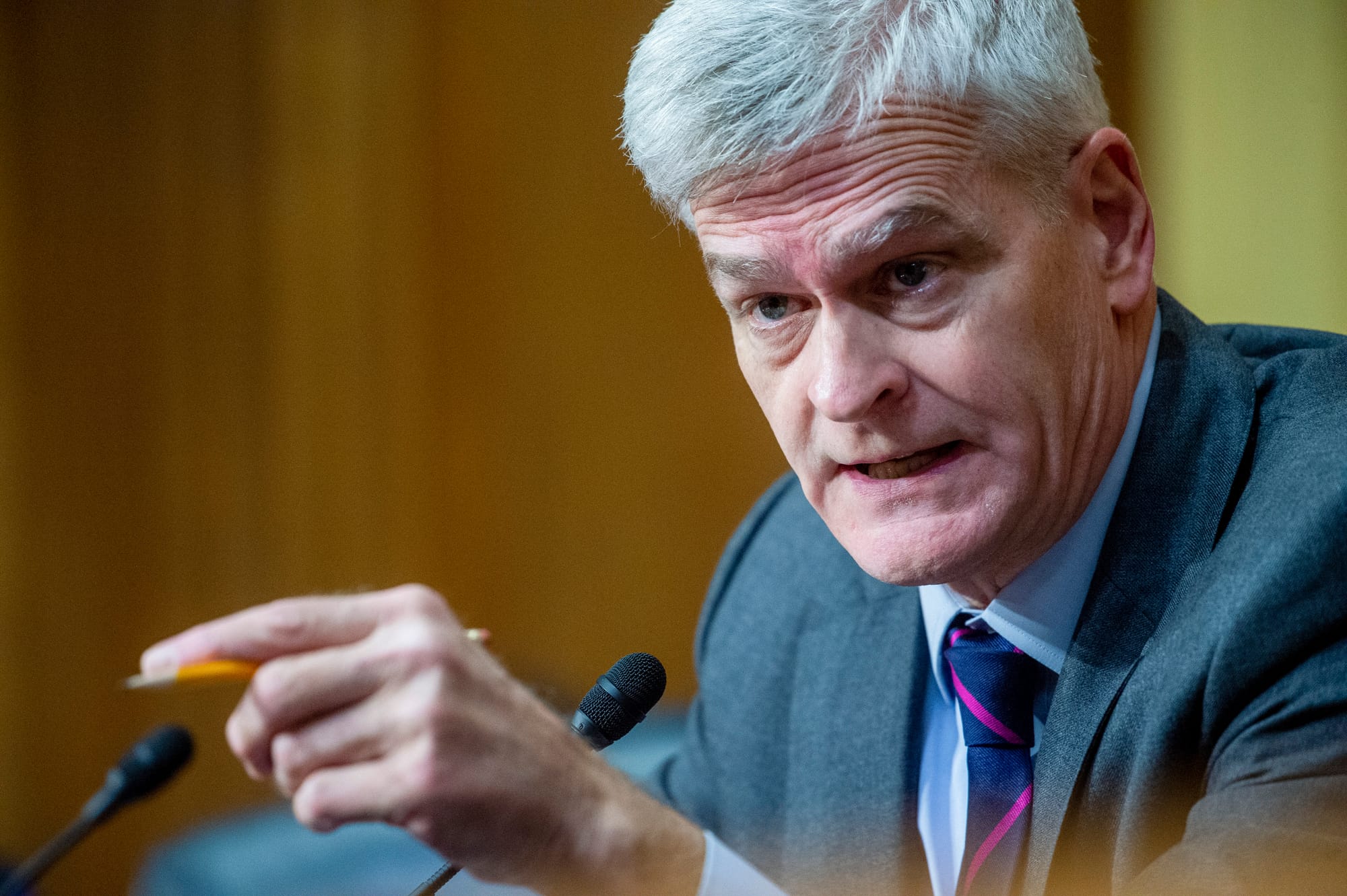 Cassidy urges Trump to release data on Tylenol, autism claims
